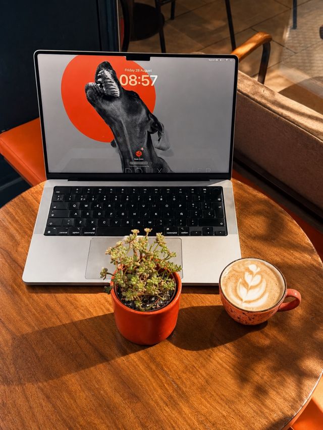 🇪🇸 Un café, un poco de calma y el lugar perfecto para empezar el día. ☕️💻
Porque a veces, todo lo que necesitas es un buen café, tu portátil y una mesa al sol. ✨

🇬🇧 Coffee, a little calm, and the perfect place to start your day. ☕️💻
Sometimes, all you need is a good coffee, your laptop, and a sunny table. ✨

#VisitValencia #ValenciaCoffee #ValenciaBrunch #CafeValencia #valenciaspain