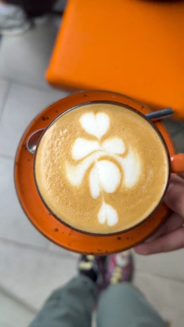 English version ⬇️ 
☕🎨 Arte que se bebe. En Doux Amer cada latte llega con un toque de magia y muchísimo cariño. Nuestros baristas trabajan con precisión y dedicación para lograr una espuma sedosa y diseños limpios que reflejan técnica, pasión y atención al detalle. Aquí el café no es solo sabor, es una experiencia. Ven a disfrutarla. #latteart #coffeelover #douxamercafe

English
☕🎨 Art you can drink. At Doux Amer, every latte comes with a touch of magic and a lot of care. Our baristas work with precision and dedication to create silky milk foam and clean designs that show technique, passion and attention to detail. Here, coffee is not just about taste, it’s an experience. Come enjoy it. latteart coffeelover douxamercafe