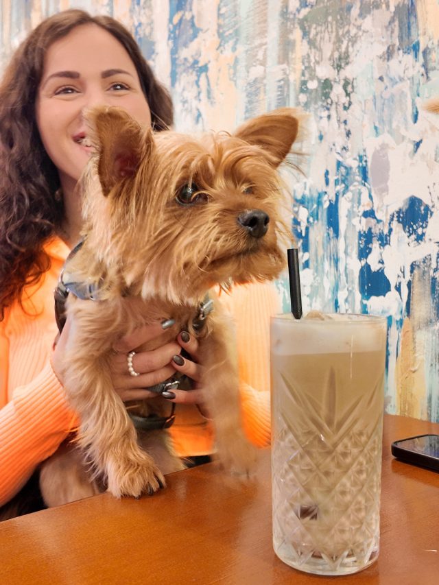 English version ⬇️ 

🐾🥤 Algunas tentaciones son difíciles de resistir… y esta es una de ellas.
Orejas atentas, patitas curiosas
 y una bebida fría que parece decir: “pruébame”.
En Doux-Amer también pensamos en ellos,
 porque los mejores momentos se comparten,
 siempre.
📍 Doux-Amer Café / Centro y Cabanyal
#DouxAmer #DogFriendly #ValenciaCoffee CaféConPerros MomentosDouxAmer VidaBonita CoffeeLovers PerritosFelices ValenciaCafe CozyMoments BebidasFrias
———————

🐾🥤 Some temptations are simply irresistible… and this one is clearly calling.
Curious paws, alert ears,
 and a cold drink saying: “just one sip”.
At Doux-Amer, we care about the whole family,
 because the best moments are meant to be shared.
📍 Doux-Amer Café / Center and Cabañal