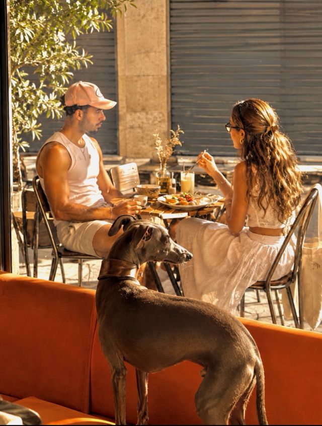 🇪🇸 Un café, un brunch, una pausa que se siente bien.
En Doux-Amer cuidamos cada detalle: el café, la mesa, los sabores y, sobre todo, la experiencia. Ven por el specialty coffee, quédate por el brunch y disfruta del momento. 🧡

🇬🇧 Coffee, brunch, and a little pause that feels just right.
At Doux-Amer, every detail matters: the coffee, the table, the flavours and, above all, the experience. Come for specialty coffee, stay for brunch and enjoy the moment. 🧡

#DouxAmer #BrunchValencia #SpecialtyCoffeeValencia #ValenciaFoodie #brunch